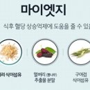 마이뉴스킨