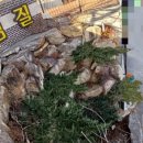 인우드찜질방 이미지