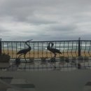 언니네펜션 이미지