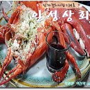 선화상회 이미지