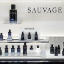 디올 그루밍 이미지