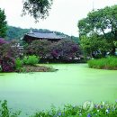 김천마을 이미지