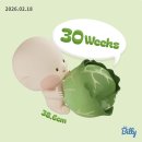 맛있는세상 | P18. [임신 후기] 세상에 맛있는 게 너무 많아 먹고 또 먹는 30주