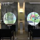 파라디조 이미지