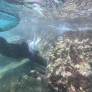 노고록이 이미지