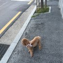 광광 농원 | 25년 8월 여름이었다(얘릠이였댜)