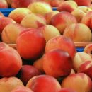 남산1리마을회관 이미지