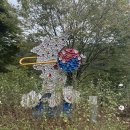 영서로 | 홍천 무궁화수목원 가을, 근처 맛집 추천, 화이트래빗 베이커리 카페 솔직 후기