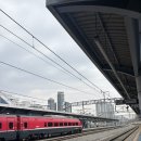 NR-30[달구벌대로]-상-39 | 대구 1박 2일 일정(보난자 카츠, 이에커피, 융캉찌에, 삼덕통닭, 애리스커피스탠드, 몬도카츠, 플루니...