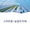ICT식물농장 협동조합 | 스마트팜이란? 4차 산업혁명이 바꾼 농업 현장