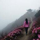 소요산관광지주차장 | 대한민국 100매 명산 🌄소요산: 파주와 연천의 숨은 비경, 시와 자연이 어우러진 산