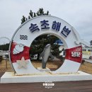 남문토방 애견 동반 펜션 | 겨울 속초 여행 속초 해안 산책하기 좋은 길