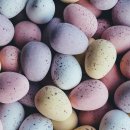 길안경원 이미지