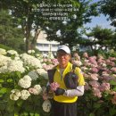 2026년6월15일(월) 서울시 노원구,도봉구.☆광화문(두메라부페식당)＞초안산(내시네 산)☆산행을 다녀와서ᆢ내 나이 61살때 이미지