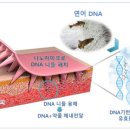 주사발 - 음성군 장감로 140 | 주사발