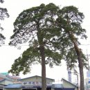 주문진카센타 이미지