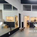 플라이하이태권도 이미지