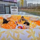 [남부] 해설이있는클래식 이미지