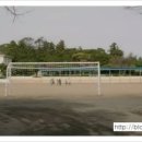 표선초등학교 운동장 네이버블로그