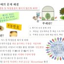 발효와 부패란? 건강한 농작물 생육에 방선균을 함유한 발효액비로 이미지