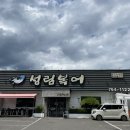 [대구] 대구 수성못 맛집 성림복어 (feat.카페 헬로 72번가) 내돈내산
