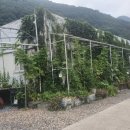 선리농장 이미지