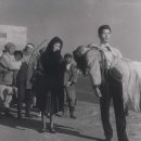 영화로 만나는 역사 이야기 이미지