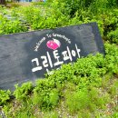 그린토피아 | 양평 가볼만한 곳 그린토피아 카페 소풍 화분만들기 체험