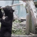 김동현농장 이미지