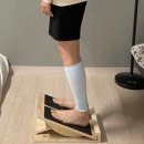 밸런스 핏 | 바디바라 스트레칭&amp;밸런스 핏보드 사용 후기