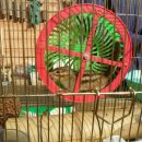 광판초병설유치원 이미지