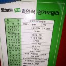 내제로 이미지
