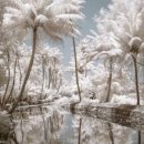 한국폴리텍 V 대학 익산캠퍼스 이미지