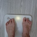 디데이 | 내돈내산 다이어트템! 리뉴얼된 마이디데이 브로멜라인 솔직 후기