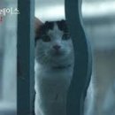 플레이스 이미지