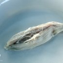 진밭식당 이미지