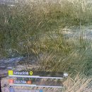 Rose PC방 이미지