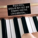 쌔때치킨 - 밀양시 밀양대로 1521 | 쌔때치킨