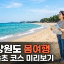 춘천시농업기술센터 | 5월 강원도 봄여행, 강릉·속초 코스 미리보기