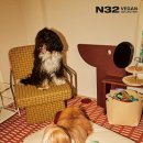 시몬스n32