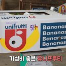 진차이 이미지