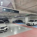 호텔 더 보타닉 세운 명동(B동) 이미지