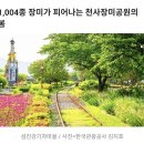 섬진강순환1 이미지