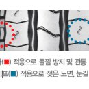 진보상사 이미지