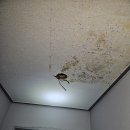 오송모텔 이미지