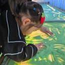 대림3농장 이미지