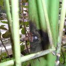 조치원 노인전문병원 이미지