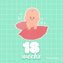 11260-1-18-44 | 임신일기 (18 ~ 22주) | 입덧 끝 먹덧 시작 해피 중기 임산부