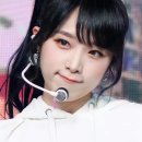 냥이조아 이미지