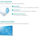 쌍둥이안경.콘텍트 네이버블로그
